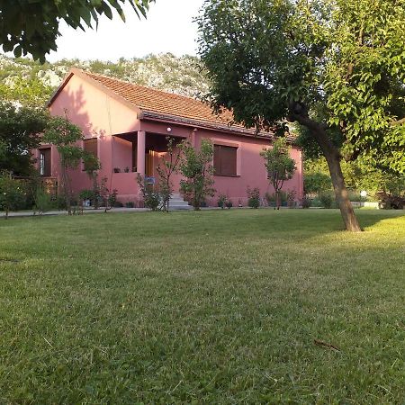 Appartamento Apartman Donji Kraj Cetinje Esterno foto