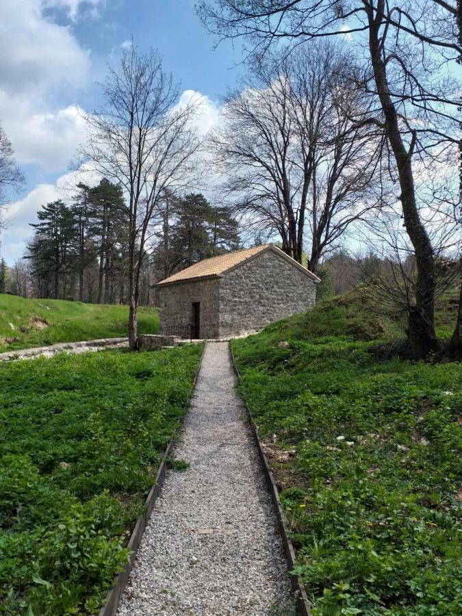 Appartamento Apartman Donji Kraj Cetinje Esterno foto