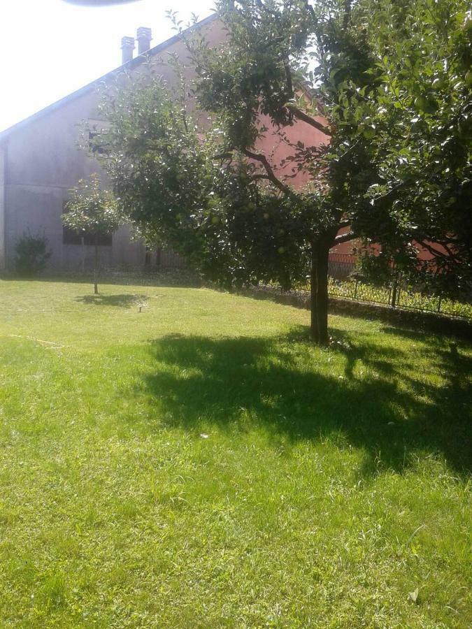 Appartamento Apartman Donji Kraj Cetinje Esterno foto